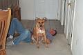 dogs and I
